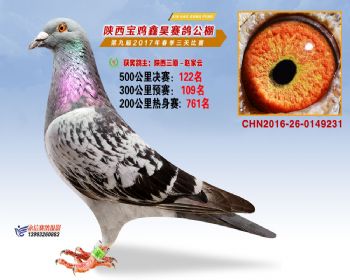 陕西宝鸡鑫昊公棚2017年第九届决赛:第122名