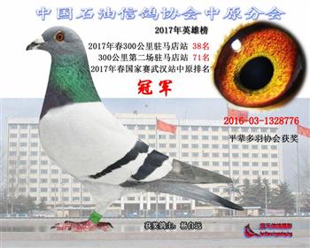 2017年春国家赛武汉赛区中原排名冠军
