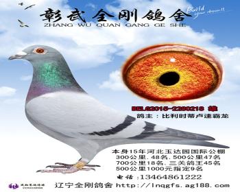 速霸龙