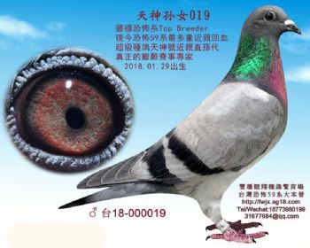 恐怖019