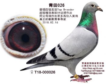 青田026