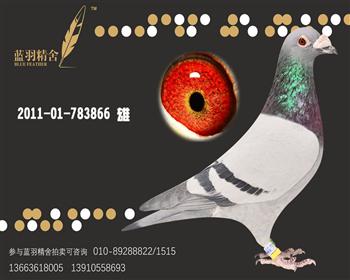 速霸龙866