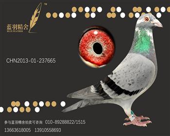 凡瑞特665