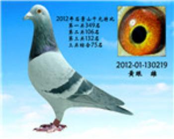 石景山三关综合75名