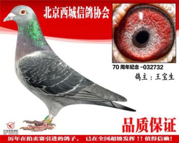 北京名家王宝生作出