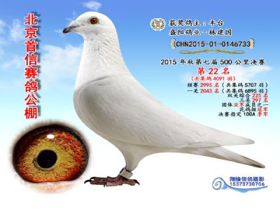 15年决赛22名