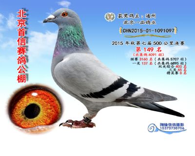 15年决赛149名