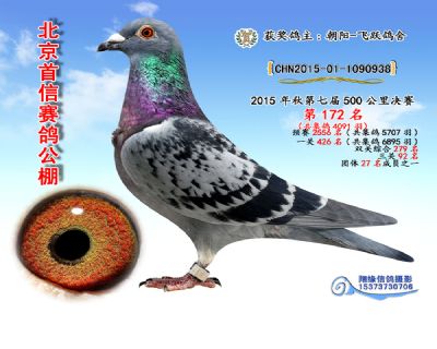 15年决赛172名