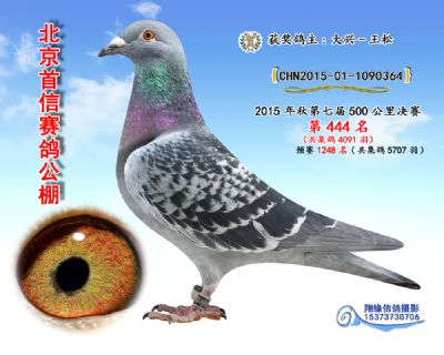 15年决赛444名