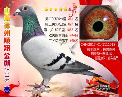 德州顺翔决赛361名