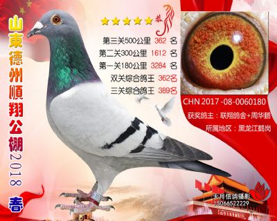德州顺翔决赛362名