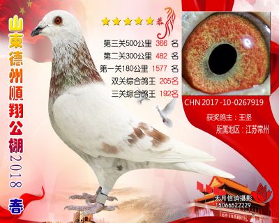 德州顺翔决赛366名