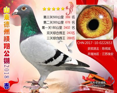 德州顺翔决赛369名