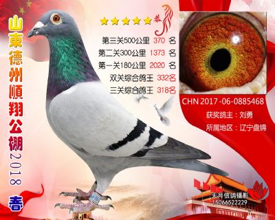 德州顺翔决赛370名