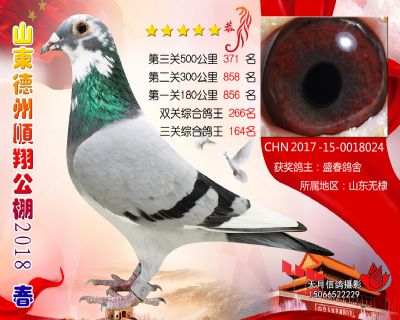 德州顺翔决赛371名