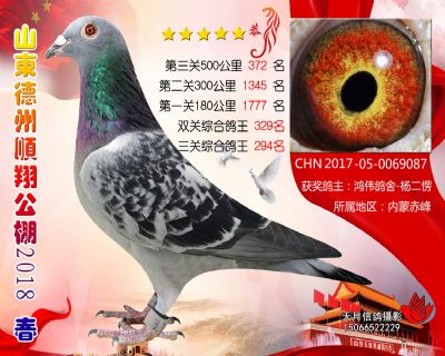 德州顺翔决赛372名