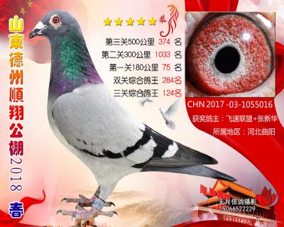德州顺翔决赛374名