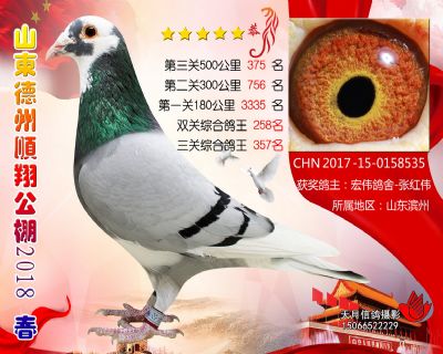 德州顺翔决赛375名