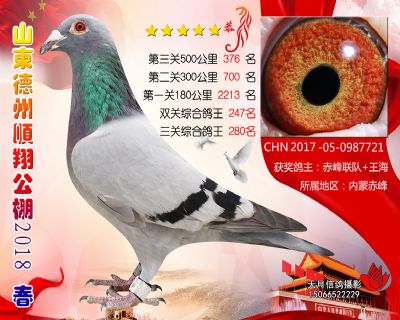 德州顺翔决赛376名