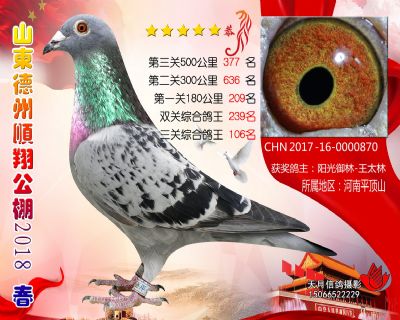 德州顺翔决赛377名