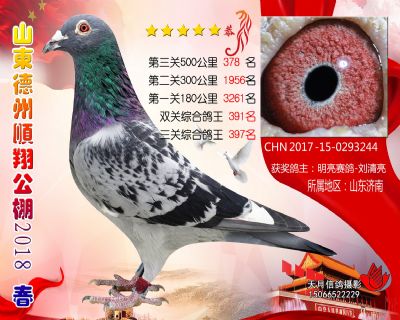 德州顺翔决赛378名