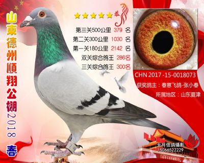 德州顺翔决赛379名