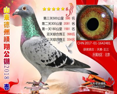 德州顺翔决赛386名