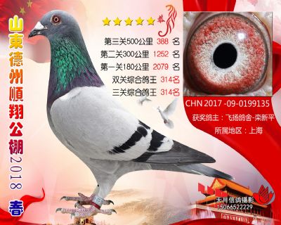 德州顺翔决赛388名