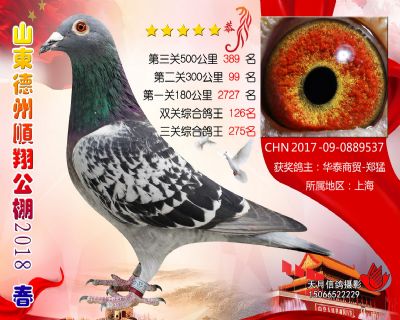 德州顺翔决赛389名