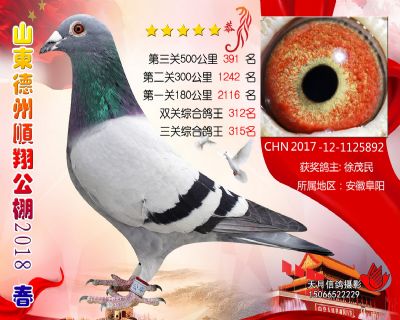 德州顺翔决赛391名