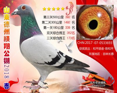 德州顺翔决赛392名
