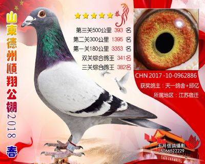 德州顺翔决赛393名