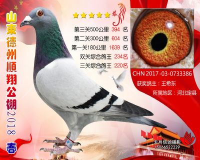 德州顺翔决赛394名