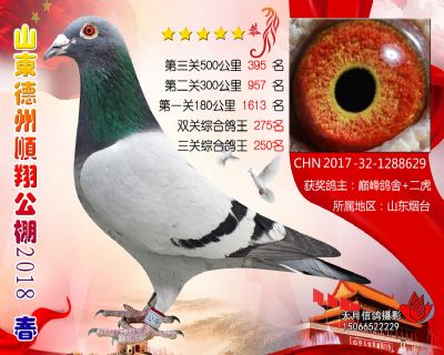 德州顺翔决赛395名