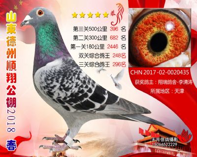 德州顺翔决赛396名