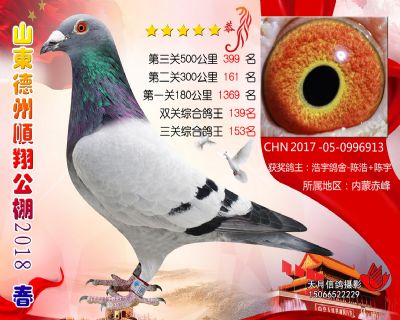 德州顺翔决赛399名