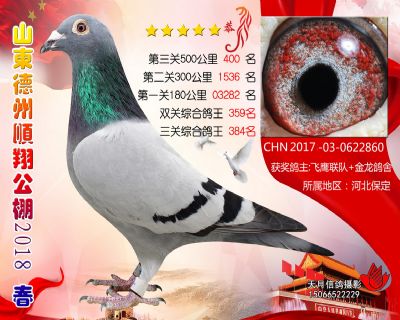 德州顺翔决赛400名