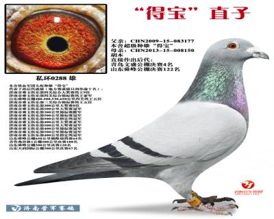 “得宝”直子