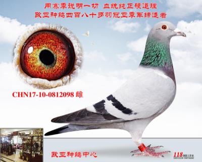 葛斯顿乳酪小子金翼号507X超级金母028