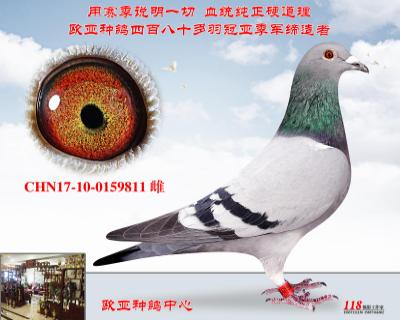 盖比闪电号直子X直女作出直子X闪电号直女近亲