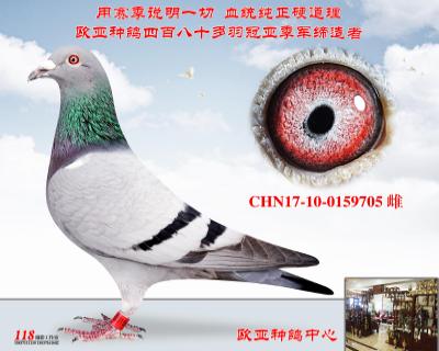 佛科克火山号兄弟425X第一种母奥林匹克索朗
