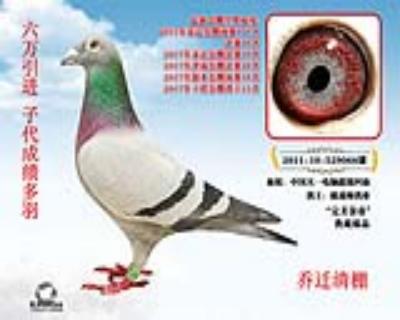 中国天一完美金帝