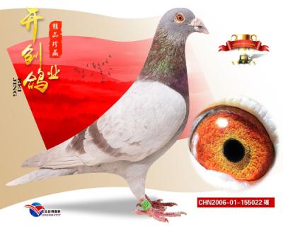 镇棚种雄 红狐731