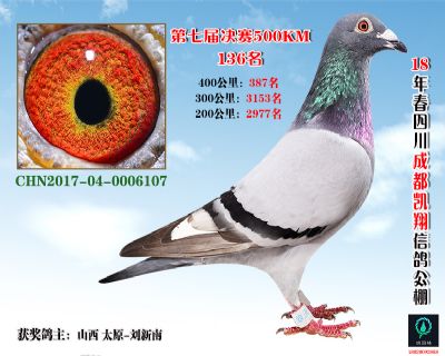 成都凯翔决赛136名