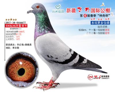 新疆飞天决赛亚军