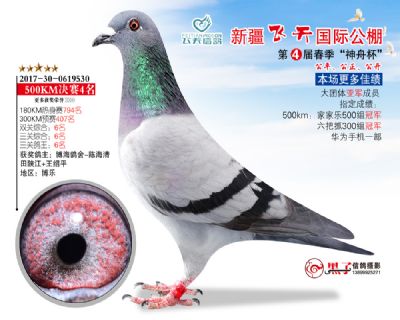 新疆飞天决赛4名