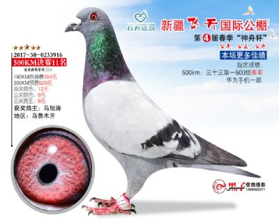新疆飞天决赛11名