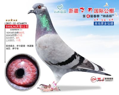 新疆飞天决赛12名