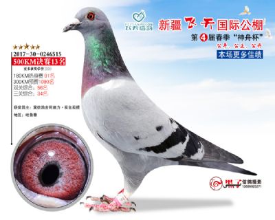 新疆飞天决赛13名