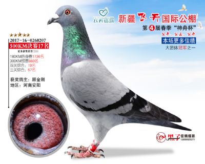 新疆飞天决赛17名